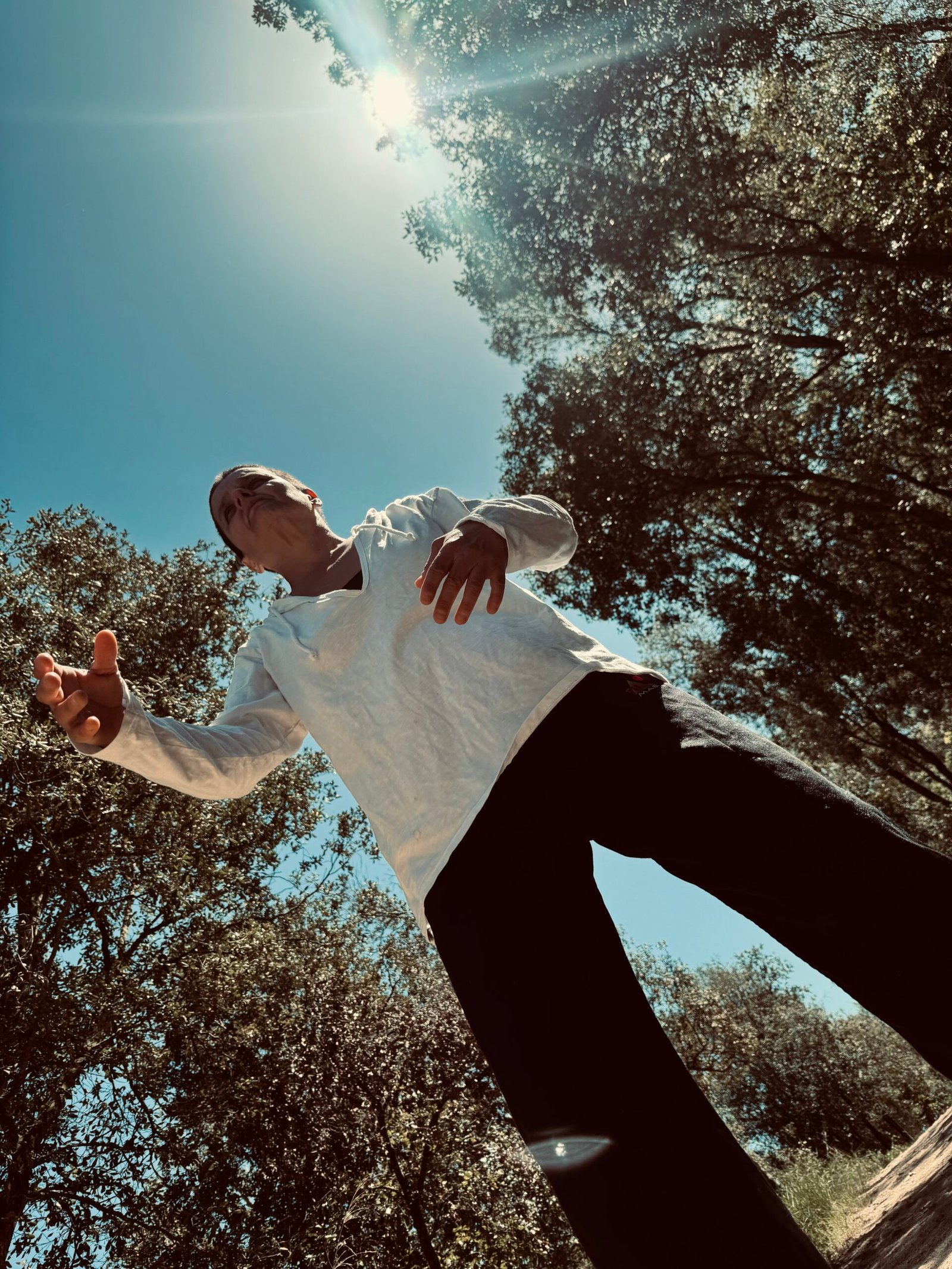 Persona mirando el cielo bajo árboles